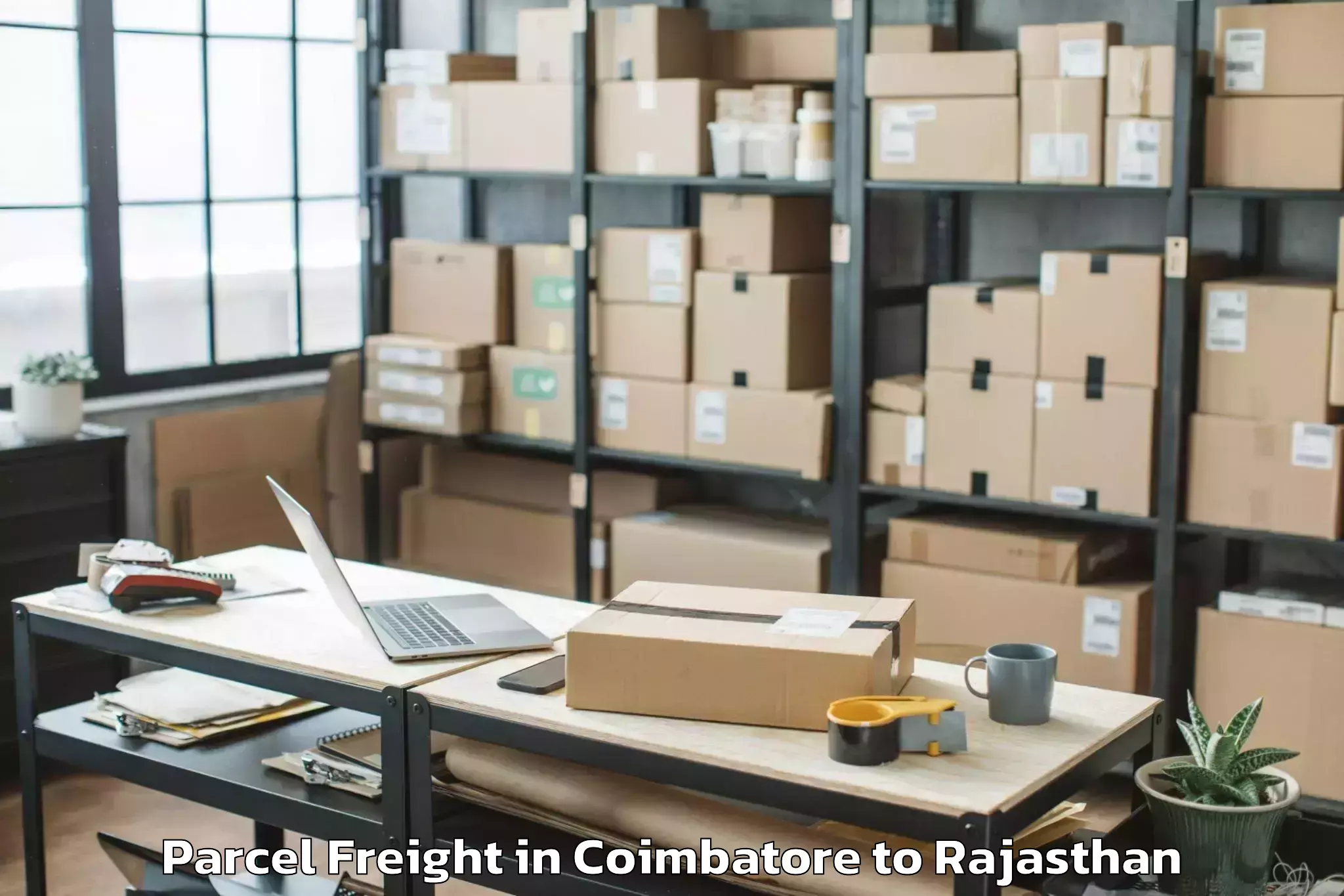 Easy Coimbatore to Raffles University Neemrana Parcel Freight Booking